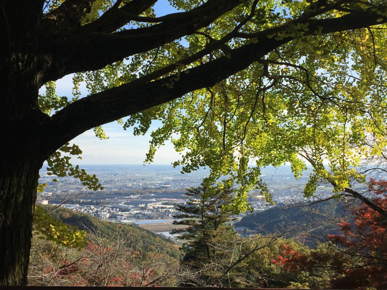 太平山へ紅葉狩りに行きました