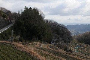 R308　奈良県側眺望