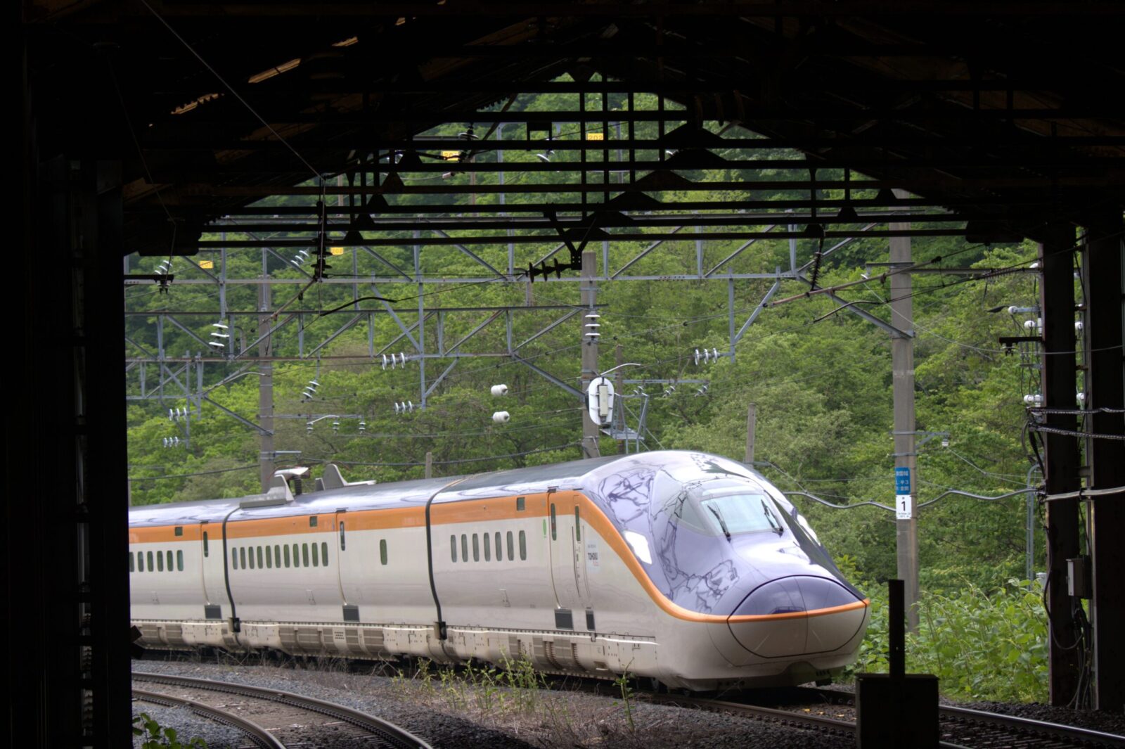 峠駅でつばさを撮影